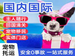 博鳌机场快递国际宠物托运 【国